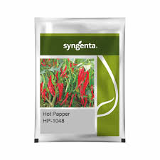 Syngenta Hot Pepper | 1048 (1500 Seeds)