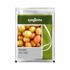 Syngenta TO-1057 | Tomato (500 SEED)