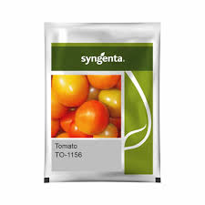 Syngenta TO-1156 | Tomato (3000 SEED)