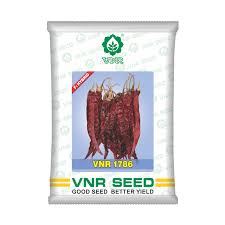 VNR 1786 F1 | Hybrid Chilli Seeds