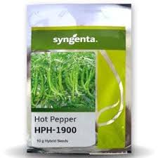 Syngenta HPH - 1900 | Chilli Seeds