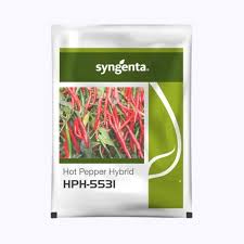 Syngenta HPH - 5531 | Chilli (1500 Seeds)