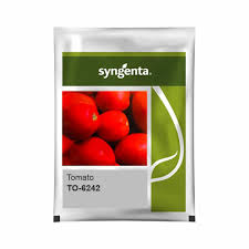 Syngenta TO-6242 | Tomato (3000 SEED)
