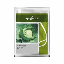 Syngenta BC 76 | Cabbage (20000 SEEDS)