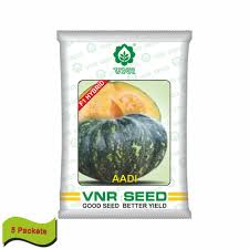 VNR Aadi | Hybrid Pumpkin (10 gm)