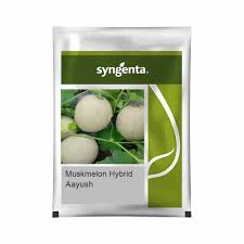 Syngenta Muskmelon | Aayush  (1000 SEEDS)