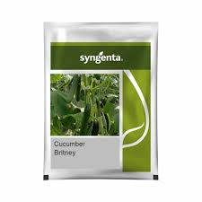 Syngenta Britney | Cucumber (1000 Seeds)