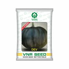 VNR Dev | Hybrid Pumpkin 50gm