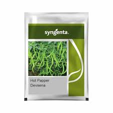 Syngenta Devsena 88 | Hot Pepper Seeds