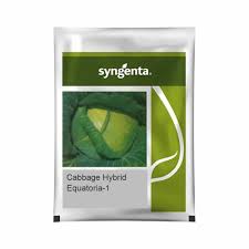 Syngenta Equatoria | Cabbage (2500 SEEDS)