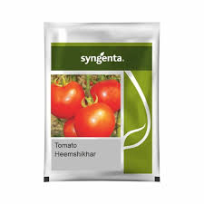 Syngenta Heemshikhar | Hybrid Tomato (4000 seeds)