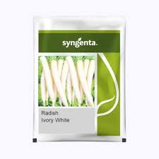 Syngenta Ivory White | Radish Seeds 250g