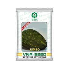 VNR Jambo | Hybrid Pumpkin (50 gm)