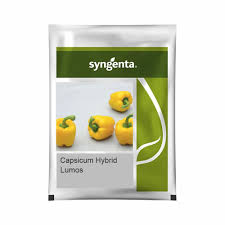 Syngenta Lumos | Capsicum (1000 Seeds)