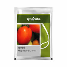 Syngenta Meghdoot T0-2048 | Tomato (3500 Seeds)