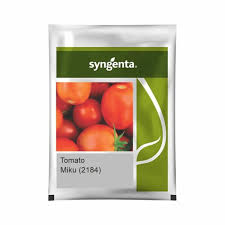 Syngenta Miku 2184 | Tomato (500 Seed)