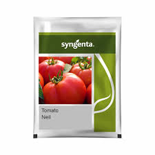 Syngenta Neil | Tomato (3000 Seeds)