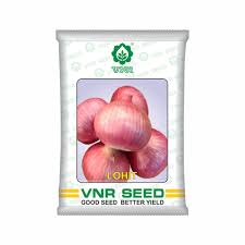 VNR OP Lohit | Onion 500g