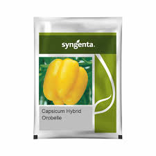 Syngenta Orobelle | Capsicum (1000 Seeds)