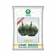 VNR P-1 | Hybrid Pumkin 10g (5 packets)
