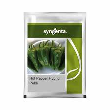 Syngenta Pekli | Hot pepper (1500 Seeds)