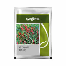 Syngenta Prahaar | Hot Pepper (1500 Seeds)