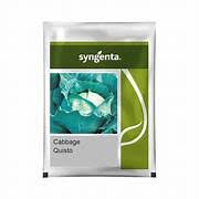 Syngenta Quisto | Cabbage (2500 SEEDS)