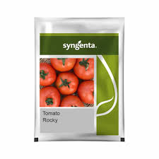 Syngenta Rocky | Tomato (3000 Seeds)