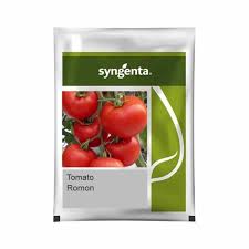 Syngenta Romon | Tomato (1000 Seeds)