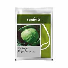 Syngenta Royal Ball | Cabbage (2500 seeds)