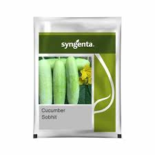 Syngenta Sobhit | Cucumber (850 seeds)
