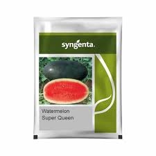 Syngenta Super Queen | Watermelon (1000 Seed)