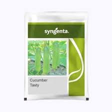 Syngenta Tasty | Cucumber Seeds 10gm