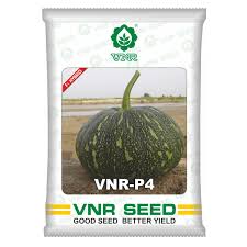VNR P4 | Hybrid Pumpkin (10gm) (5 packets)
