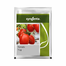 Syngenta Yug | Tomato (20000 Seeds)