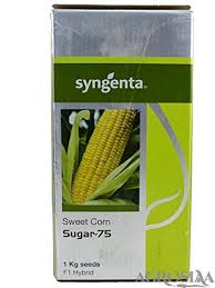Syngenta Sugar 75 Sweetcorn