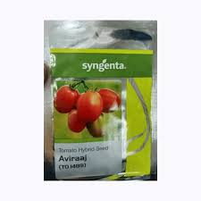 Syngenta Aviraaj (TO 1489) F1 Hybrid Tomato