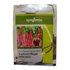 Syngenta HPH 1863 Kashmiri Royal Chilli Seeds 1.5Ks
