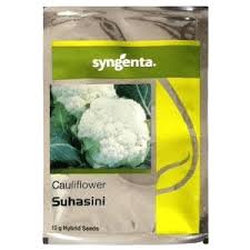 Syngenta Suhasni Cauliflower 2Ks