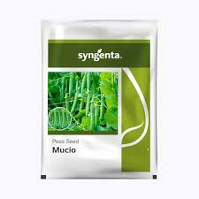 Syngenta Mucio Peas Seeds 1Kg