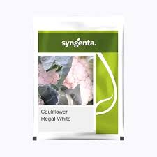 Syngenta CFL Regal White Cauliflower Seeds 2ks